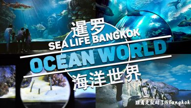 Photo of 【泰国•曼谷】暹罗海洋世界SEA LIFE Bangkok Ocean World